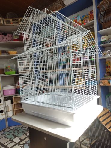 Зоотовары: Вольеры для птиц! at lalafo.kg — 10 Зоотовары: Вольеры для птиц! — 10