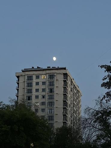 Долгосрочная аренда квартир: 1 комната — 1