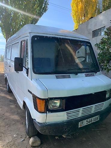Продажа авто: Mercedes-Benz Спринтер: 1991 г., 3 л, Механика, Дизель, Бус — 1