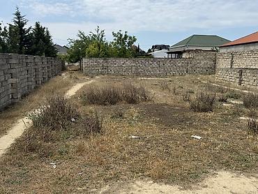 samaxida torpaq sahesi satilir: 4 sot, Tikinti, Mülkiyyətçi, Kupça (Çıxarış) — 3