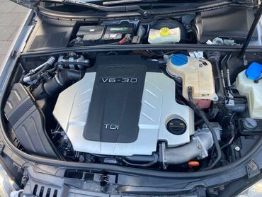 Audi: Audi A4: 3 l. | 2007 έ. Λιμουζίνα — 10
