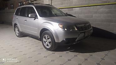 forester 2019: Subaru Forester: 2009 г., 2.5 л, Автомат, Бензин, Кроссовер — 1