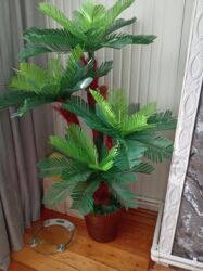 Güzgülər: Dekorativ süni palma ağacı - Realistik görünüşlü, sıx və parlaq yaşıl lalafo.az -da Güzgülər: Dekorativ süni palma ağacı - Realistik görünüşlü, sıx və parlaq yaşıl