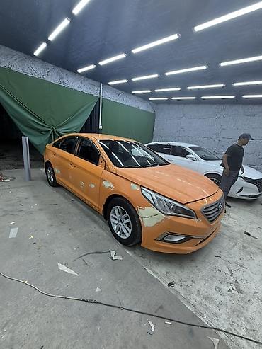 соната решетка: Hyundai Sonata (седан, поколение LF) - Кузов: 4‑дверный седан — 4