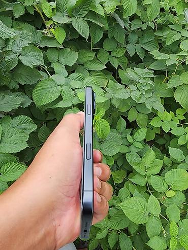 кулер ноутбук: IPhone 16 Pro Max, Б/у, 256 ГБ, Черный, Коробка, 85 % — 5