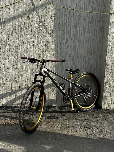 vinil disk: Şəhər və yüngül off-road üçün yığılımış tək sürətli velosiped - — 2
