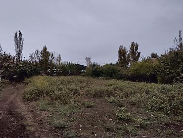 goycayda torpaq satilir: Kənd təsərrüfatı, Mülkiyyətçi, Kupça (Çıxarış) — 9