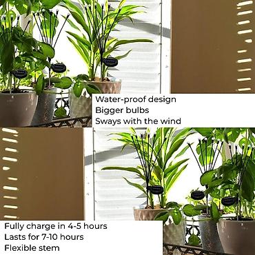 Bağ işıqları: Bağ işıqı Yerüstü, 600 Vt — 7