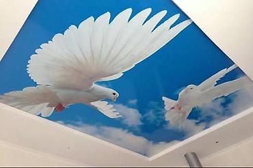 Другие строительные материалы: Натяжной потолок жасайбыз — 2