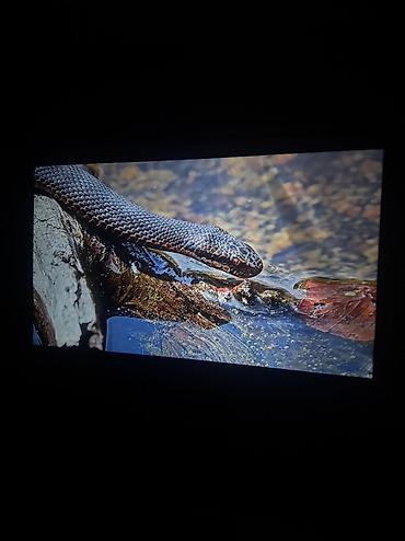 Проекторы: Продам новый проектор Full HD 1920×1080 (Android, 8+16 ГБ) Продаётся — 9