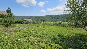 Torpaq sahələrinin satışı: Tikinti — 11