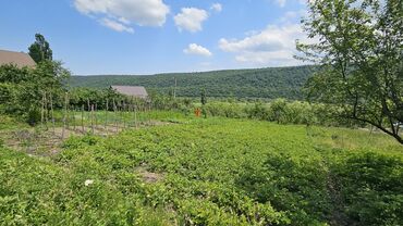 Torpaq sahələrinin satışı: 12 sot, Biznes üçün, Mülkiyyətçi, Kupça (Çıxarış) — 11