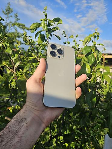Apple iPhone: IPhone 15 Pro Max, 256 GB, Natural Titanium, Face ID — 1