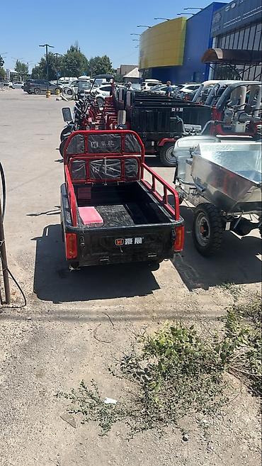 mini ev: Легкий грузовик, Новый — 2