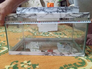 beta balığı satış: Salam. Akvarium satilir. 22 litr su tutumu var.Tep-tezedi. Ust qapagi