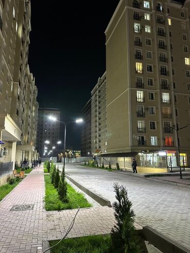 чолпон ате: 2 комнаты, 63 м², Элитка, 10 этаж, Дизайнерский ремонт