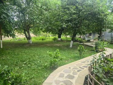 Günlük kirayə evlər: 40 kv. m, 2 otaqlı, Artezian quyusu, Kanalizasiya, Qaz — 3