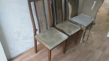 Другие животные: Ремонт перетяжка стулья — 7