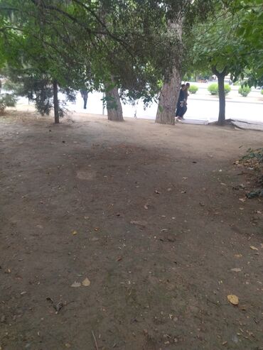 Sərnişin daşımaları: Şəhərdaxili və şəhərlərarası sərnişin daşınması xidməti - Komfortlu — 4