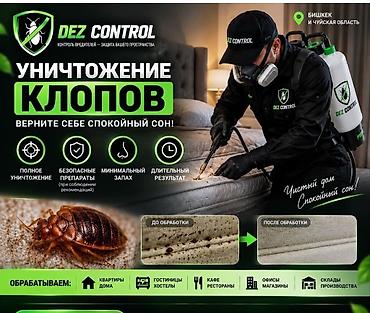 Дезинфекциялоо, дезинсекциялоо: Дезинфекциялоо, дезинсекциялоо, | Таракандар, | Батирлер — 2