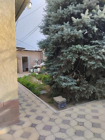 Үйлөрдү сатуу: 4 бөлмө, 130 м², 6 соток, Бишкек, Дордой Моторс базары Менчик ээси — 8
