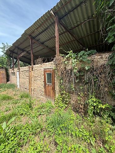 Продаётся земельный участок с домом и хозяйственными постройками. 🌿 at lalafo.kg — 3 Продаётся земельный участок с домом и хозяйственными постройками. 🌿 — 3
