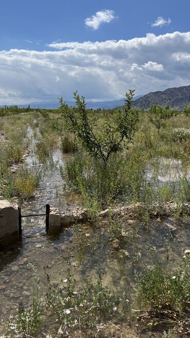 Продажа участков: 600 соток, Для сельского хозяйства, Красная книга, Тех паспорт, Договор купли-продажи — 23