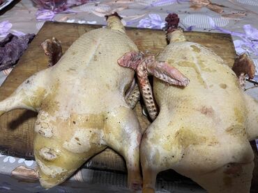 İçkilər: Məhsul: Kəsilmiş və təmizlənmiş lal ördek Təsvir: - Şəkildə iki ədəd