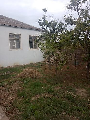 Həyət evləri və villaların satışı: 4 otaqlı, 146 kv. m — 12