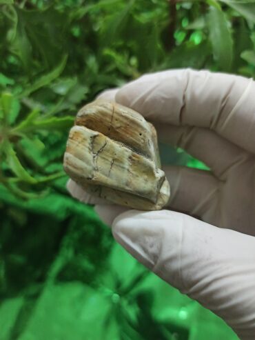 Dekorativ daşlar: Kolleksiyacılar üçün təbii Daş 💎 Kolleksiyaçılar, enerji praktikləri — 4