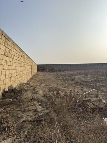 Torpaq sahələrinin satışı: 30 sot, Biznes üçün, Kupça (Çıxarış) — 19