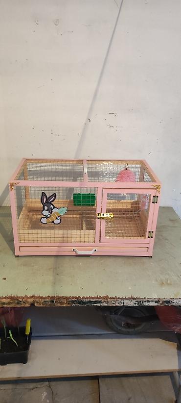 Dovşan,cücə,pişik,hamster,quş ve s kimi ev heyvanlari üçün qəfəsler lalafo.az -da Dovşan,cücə,pişik,hamster,quş ve s kimi ev heyvanlari üçün qəfəsler