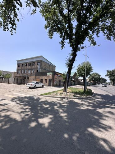 земельный участок первая линия: 27 соток, Красная книга