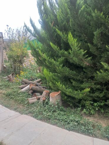 Bağ evlərinin satışı: Novxanı, 100 kv. m, 2 otaqlı, Hovuzsuz, Su — 2