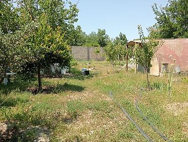 qusarda yer satilir: 6 sot, Tikinti, Makler, Kupça (Çıxarış) — 9