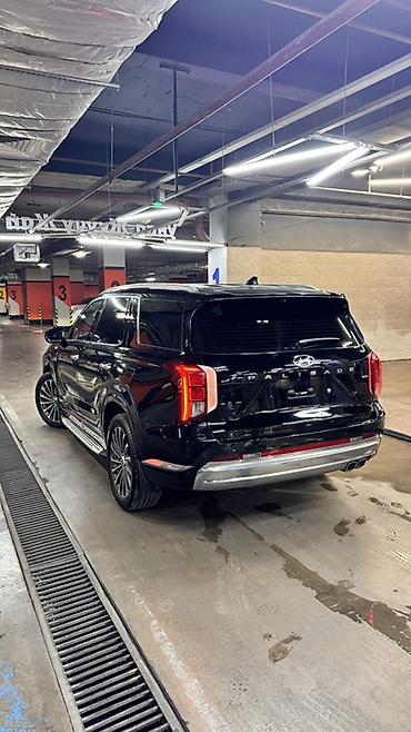 горный: Hyundai Palisade: 2022 г., 2.2 л, Автомат, Дизель, Кроссовер — 5