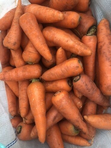 оптовые цены на продукты питания в бишкеке: Сабиз Акылуу жеткирүү