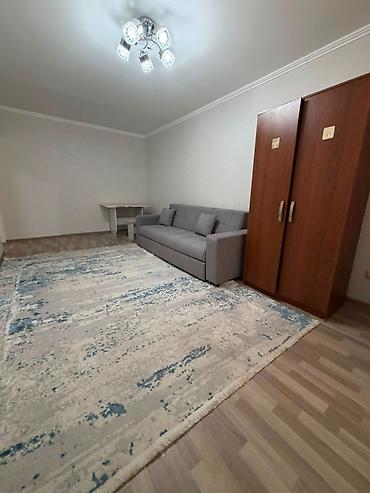 999: 1 комната, 40 м², ул. Огонбаева / Гоголя 104 серия, 1 этаж, Евроремонт — 9