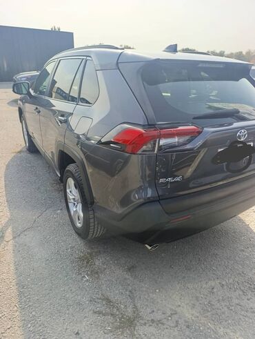 Toyota: Toyota RAV4: 2020 г., Автомат, Бензин, Кроссовер — 2