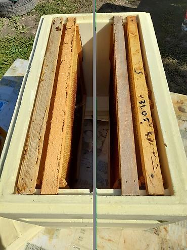 ППУ - пенополиуретан: Полиуретановые ульи для пчеловодства - Материал: литой ППУ — 7