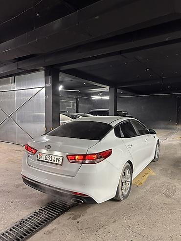 Kia: Kia K5: 2017 г., 2 л, Автомат, Газ, Седан — 4