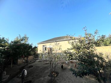 Həyət evləri və villaların satışı: 3 otaqlı, 115 kv. m, Kredit yoxdur, Yeni təmirli — 15