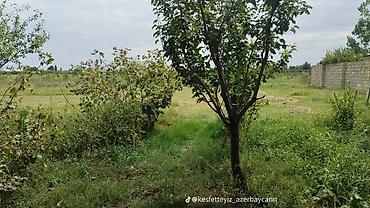 ev xacmaz: 2 otaqlı, 150 kv. m, Kredit yoxdur, Orta təmir — 7