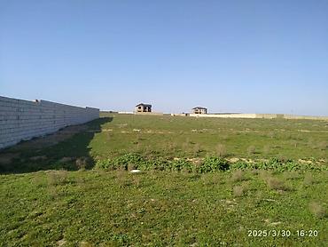 absheron: 26 sot, Mülkiyyətçi, Kupça (Çıxarış) — 2