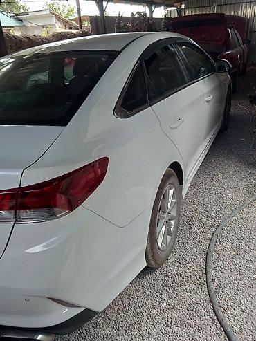 срв белый: Hyundai Sonata: 2018 г., 2 л, Автомат, Бензин, Седан — 6