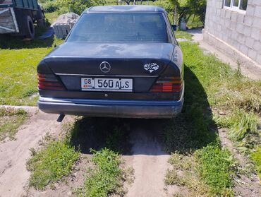 Mercedes-Benz: Mercedes-Benz W124: 1992 г., 2.9 л, Механика, Дизель, Седан