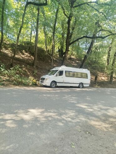 Mercedes-Benz: Mercedes-Benz Sprinter: 2.2 l | 2008 il Mikroavtobus — 3