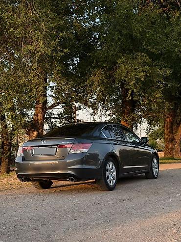 123: Honda Accord: 2009 г., 3.5 л, Автомат, Бензин, Седан — 2