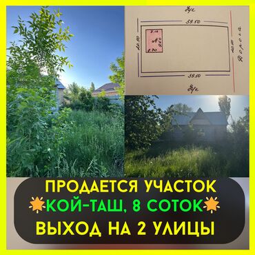 в селе маевка: 8 соток, Курулуш, Кызыл китеп