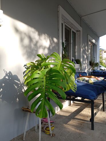 Günlük kirayə evlər: 160 kv. m, 3 otaqlı — 20